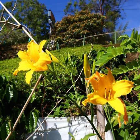 Narra Homestay Maskeliya Esterno foto