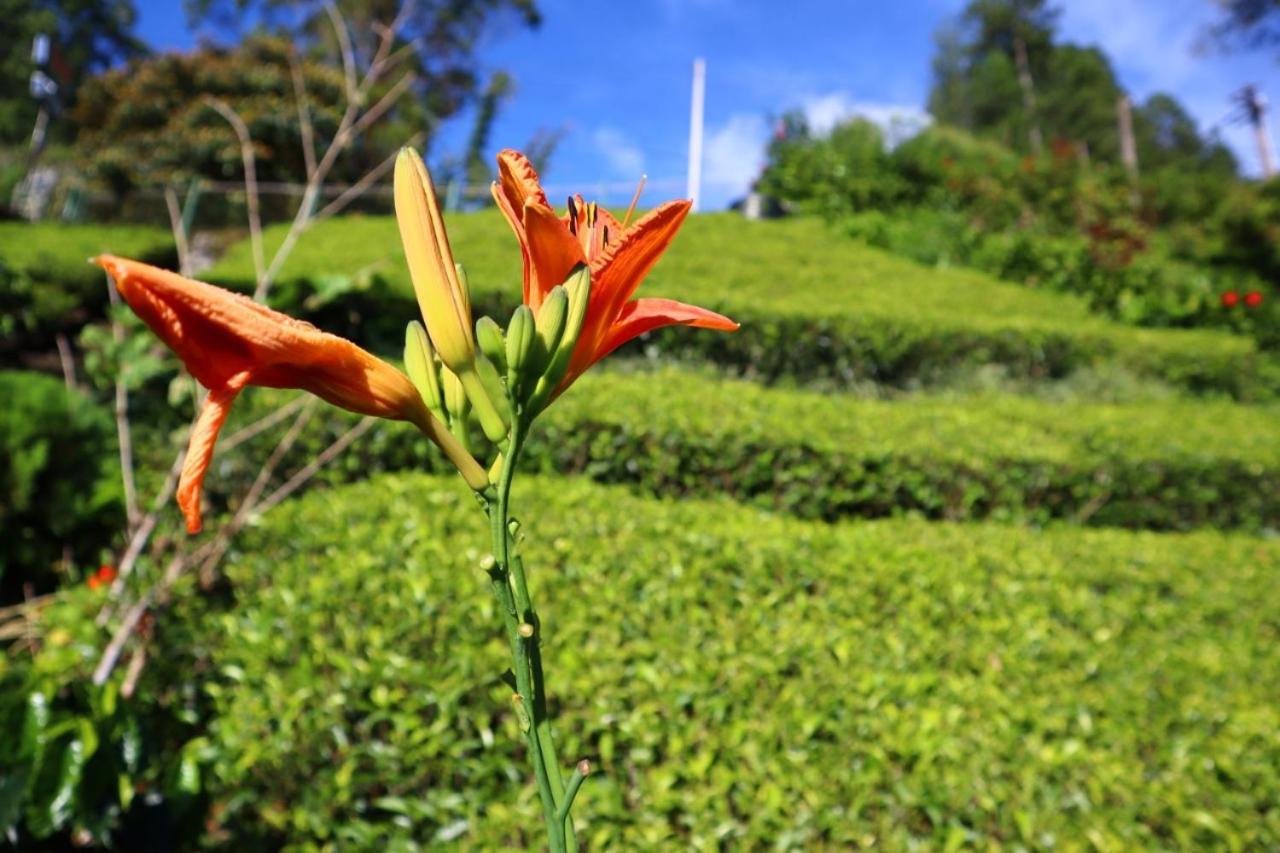 Narra Homestay Maskeliya Esterno foto
